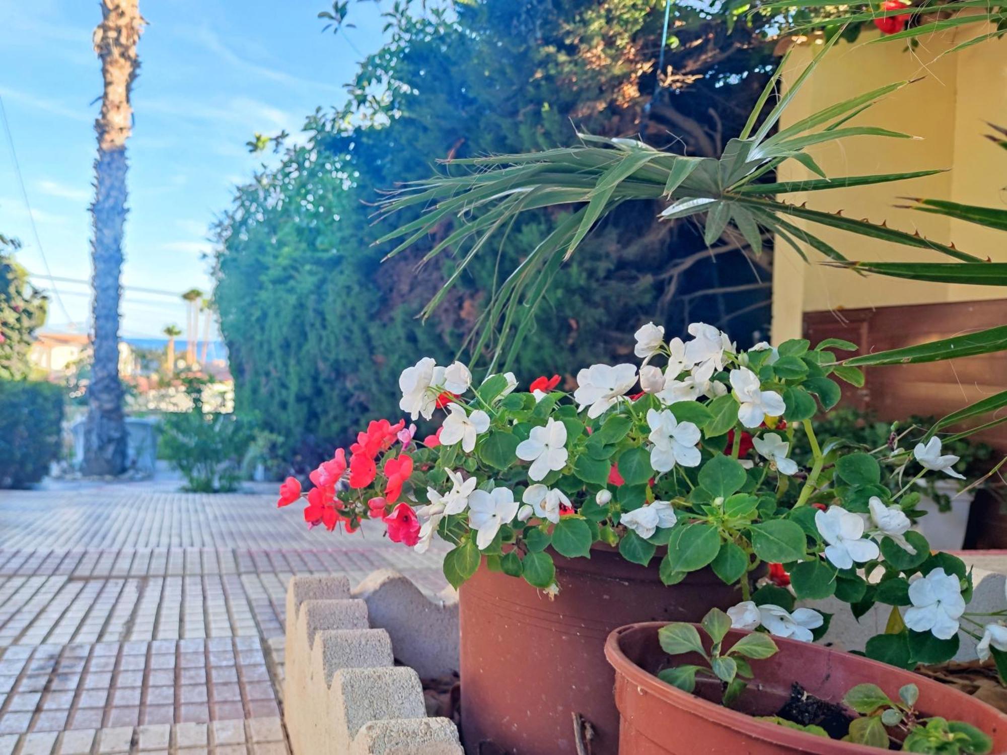 Casona Del Mar Terraza Y Vistas Al Mediterraneo El Campello Exterior photo